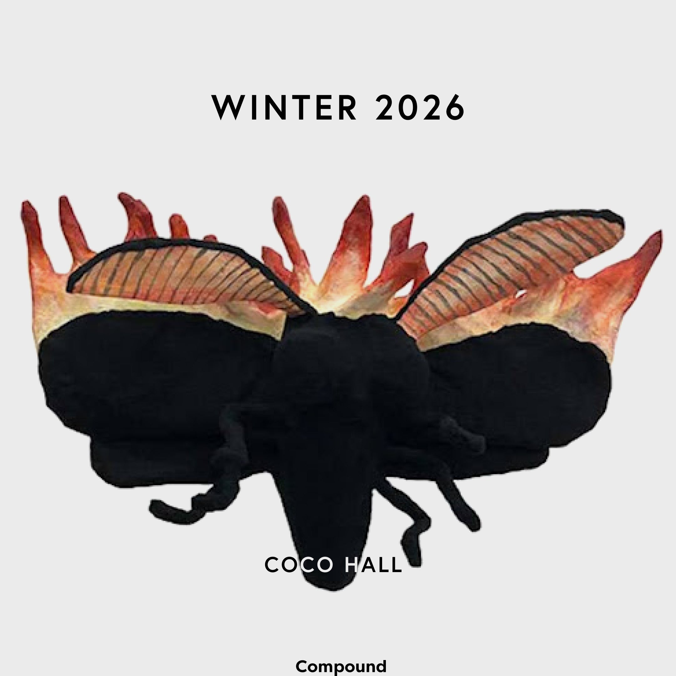 Coco Hall · Winter 2026
