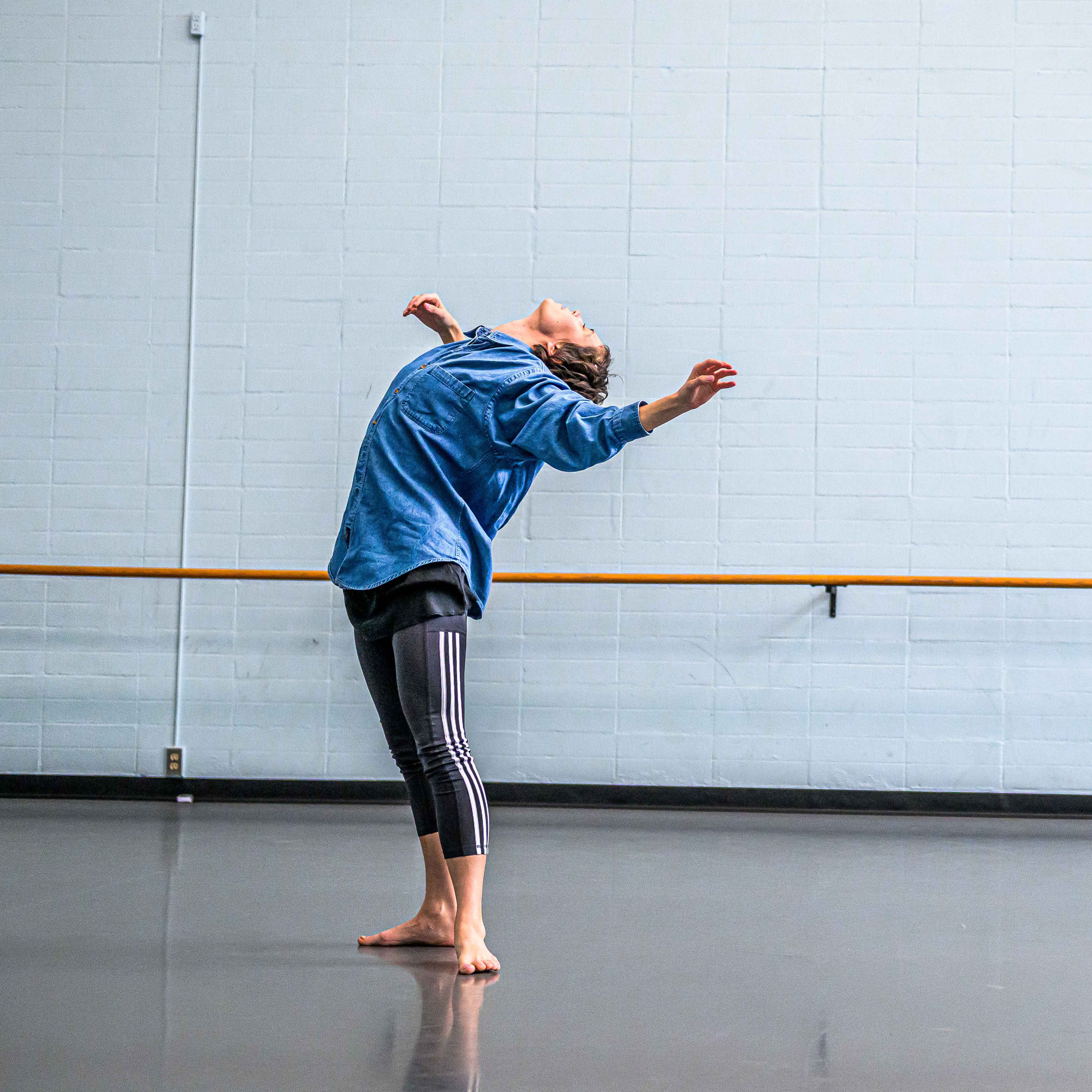 Ecosomatic Landscapes · November 14, 2025