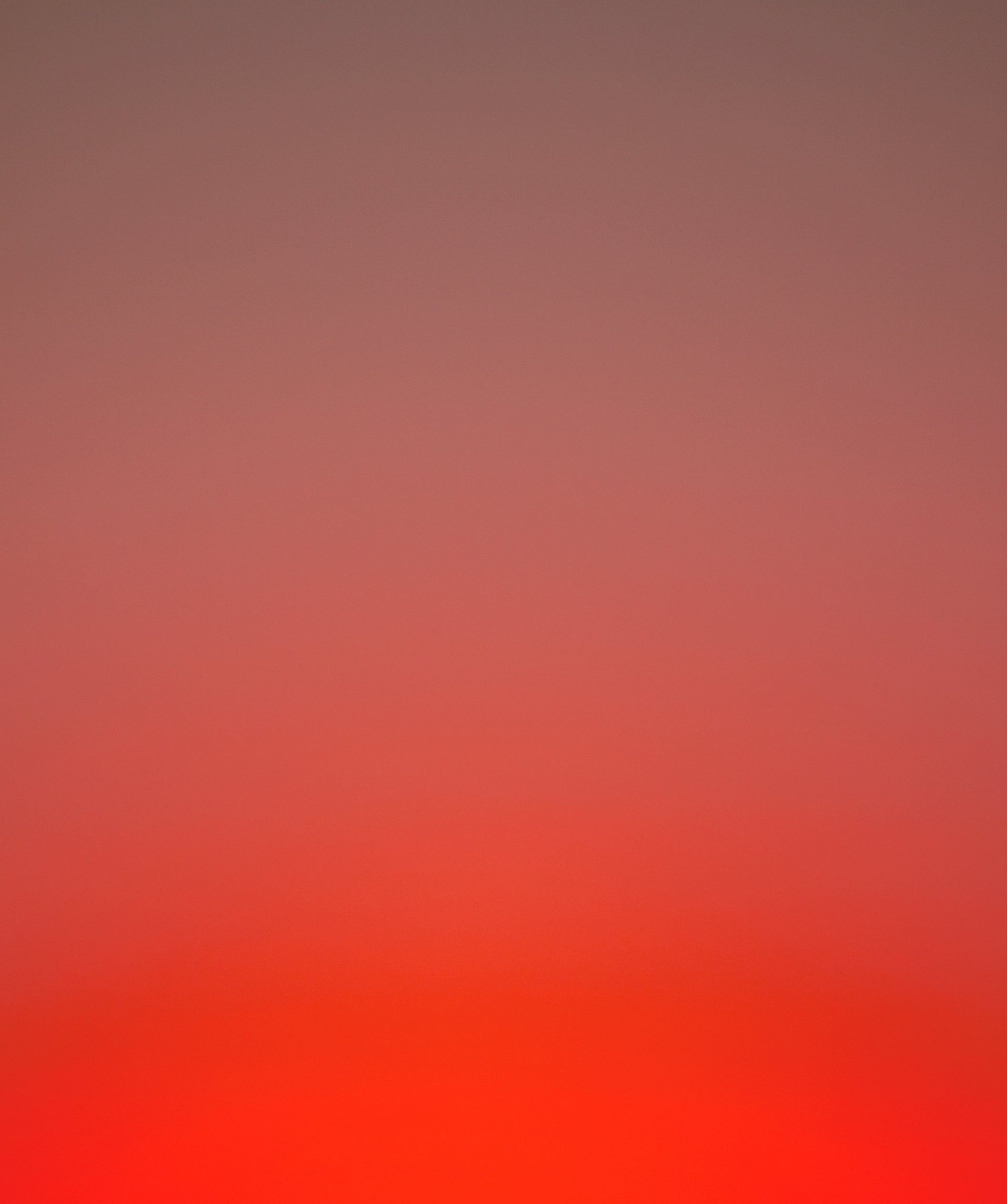 Blush Diptych - Bloodshot Giclée Print