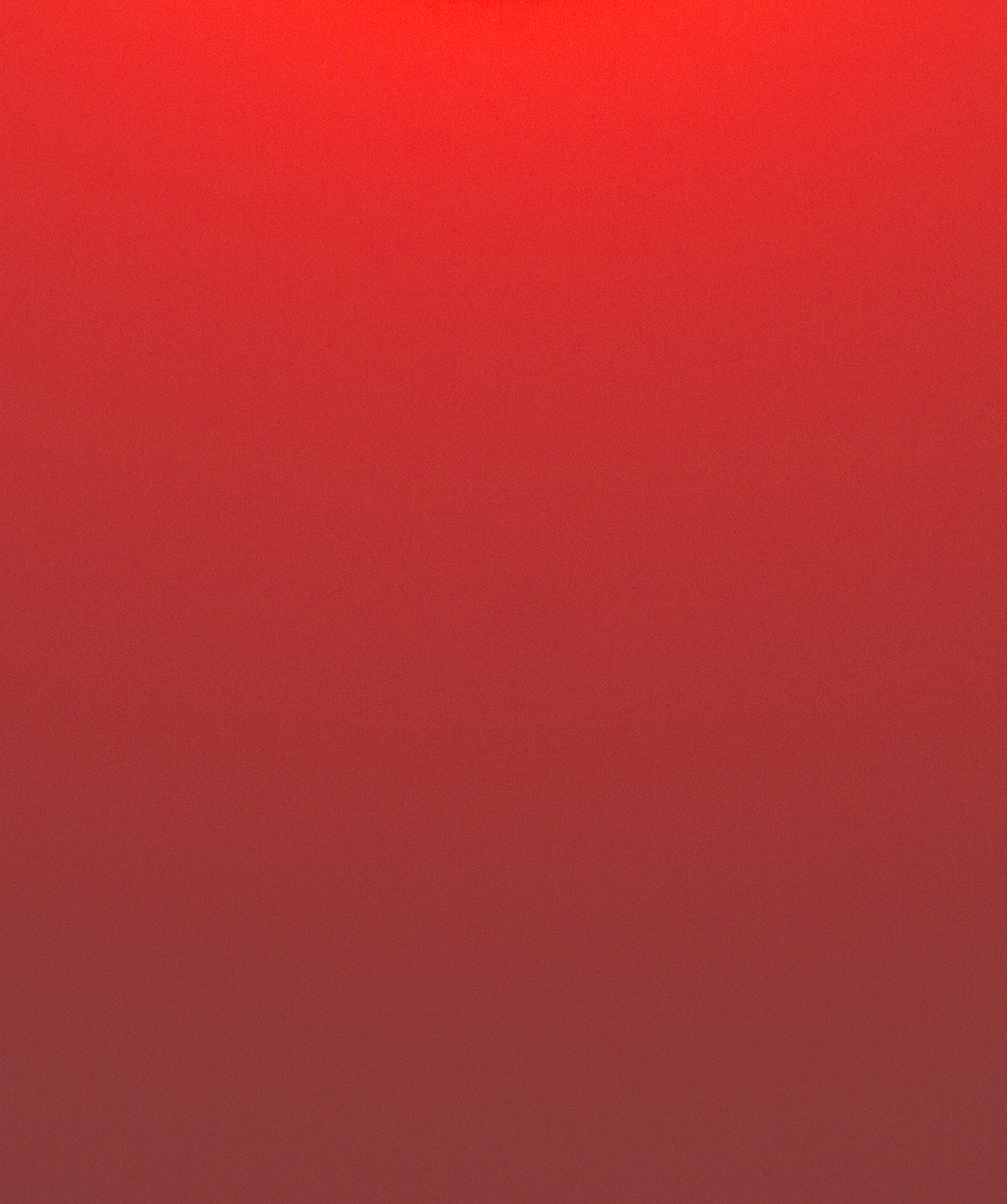 Blush Diptych - Dahlia Giclée Print