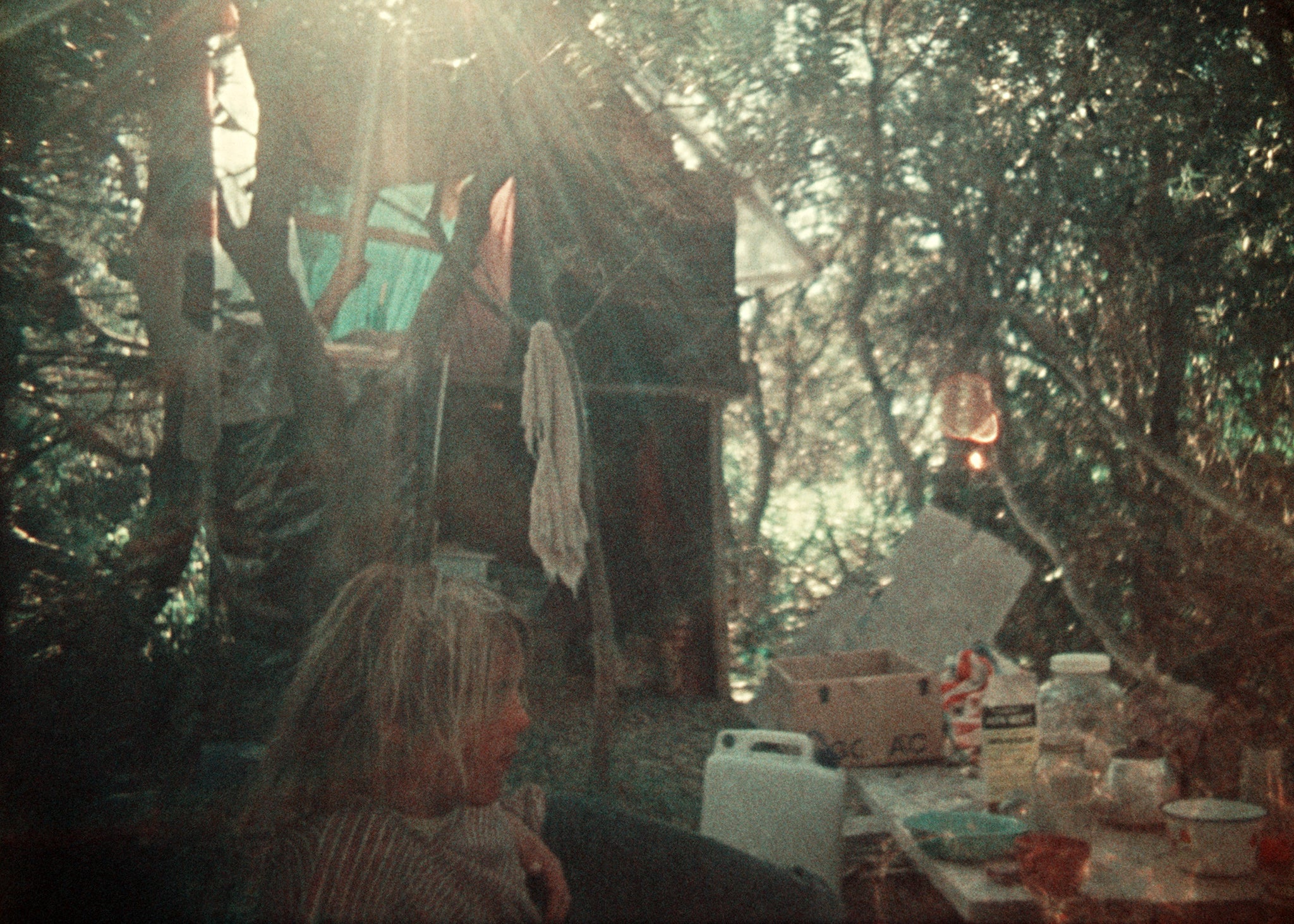 ‘Brockie’s Tree House’