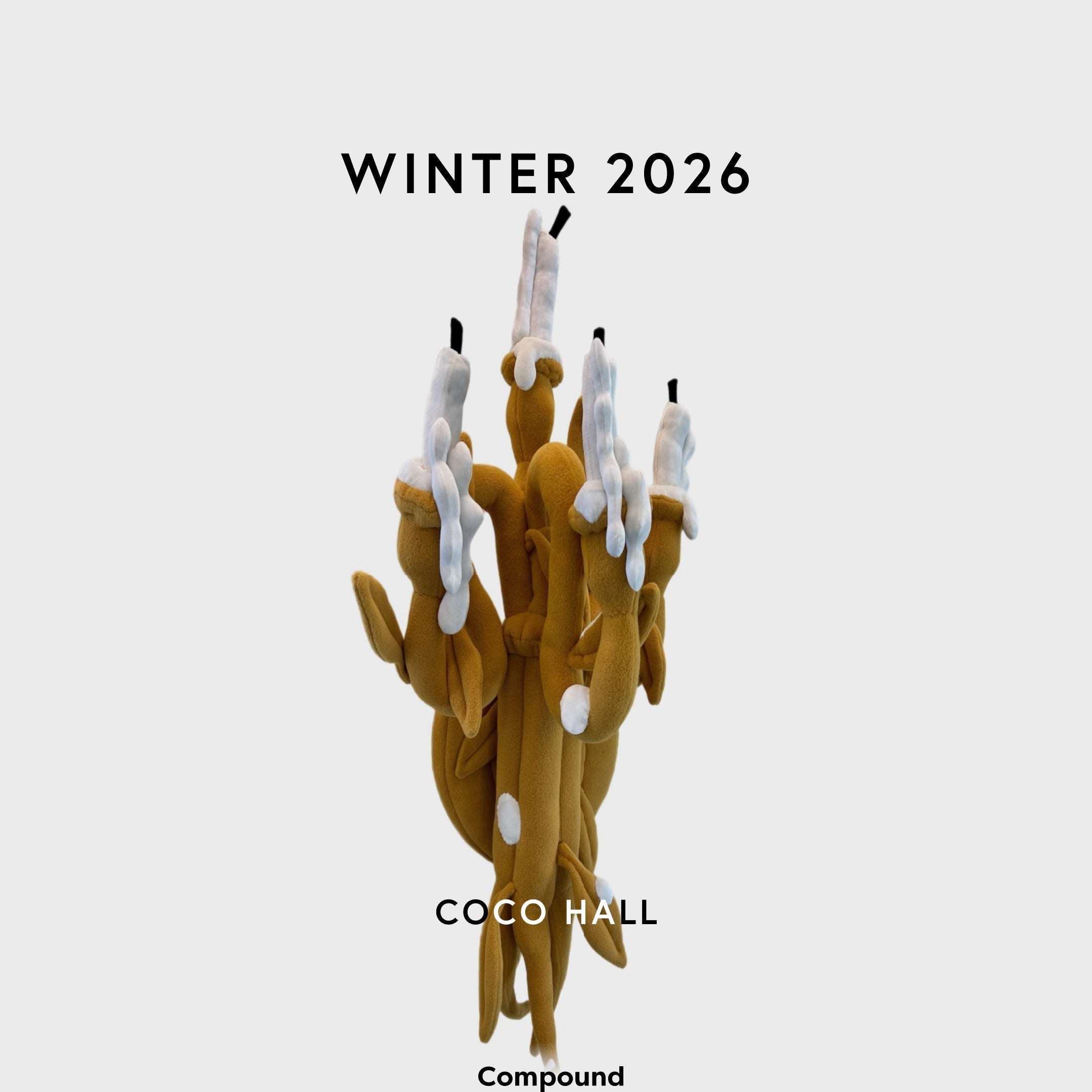 Coco Hall · Winter 2026