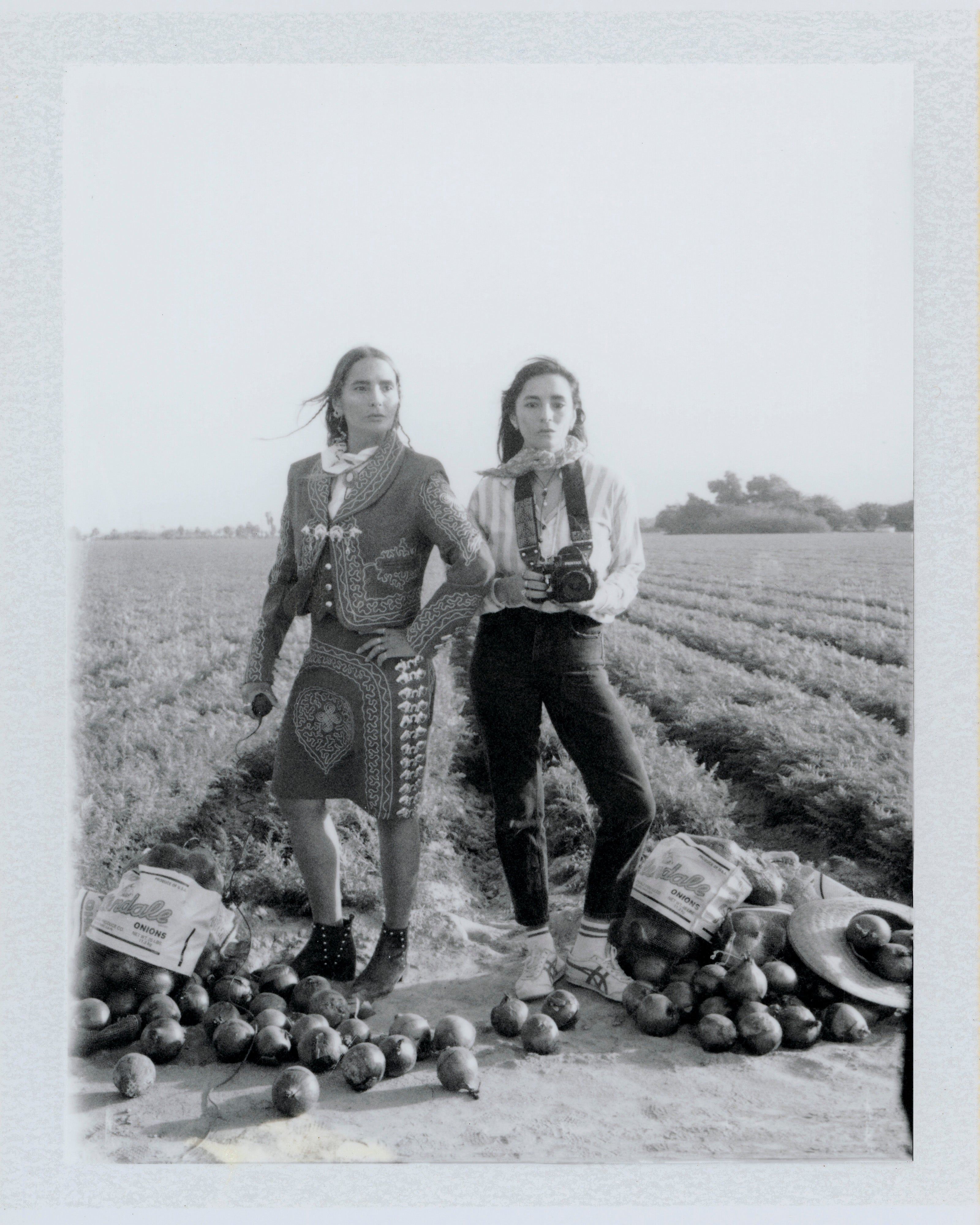 Luisa’s Onion Field #2, Coachella Valley